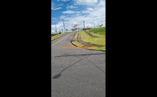 IMG-20220308-WA0087