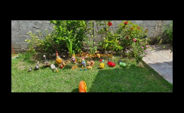 IMG-20240117-WA0188