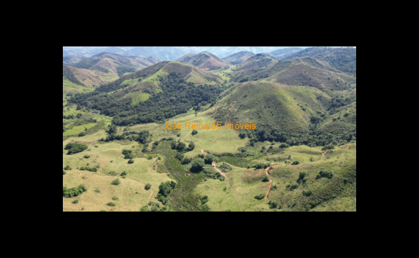 IMG-20250417-WA0158