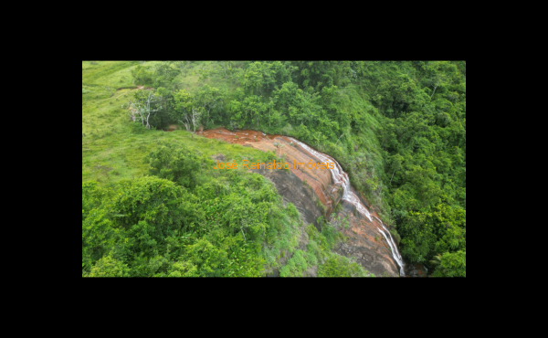 IMG-20250417-WA0171