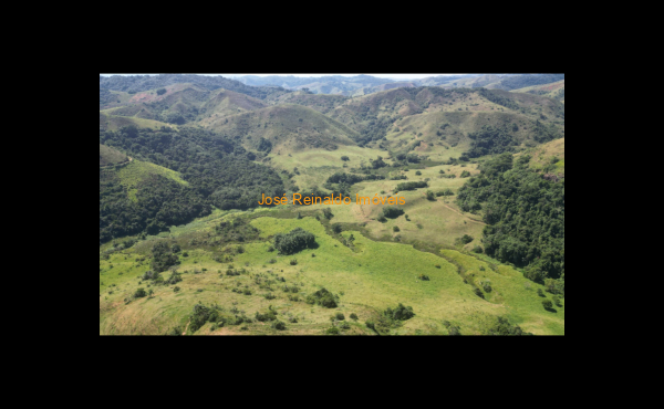 IMG-20250417-WA0172