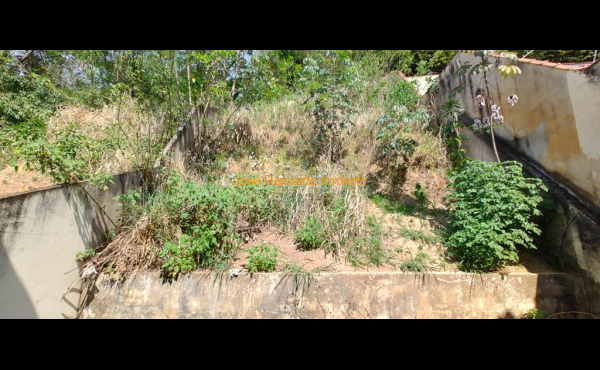 IMG_20251003_135536050_HDR